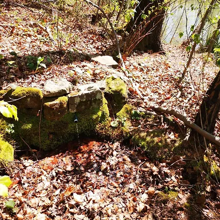 Na Brehu Rybnika Pupek Campingplatz