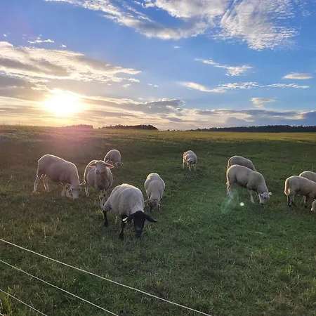 Campingplatz Na Brehu Rybnika Pupek Kohoutov