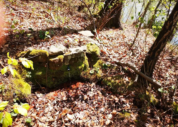 Na Břehu Rybníka Pupek Parque de Campismo
