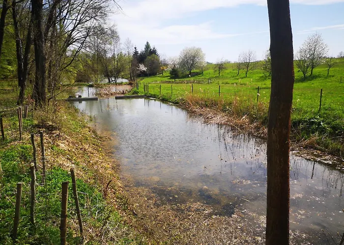 Na Břehu Rybníka Pupek Parque de Campismo *
