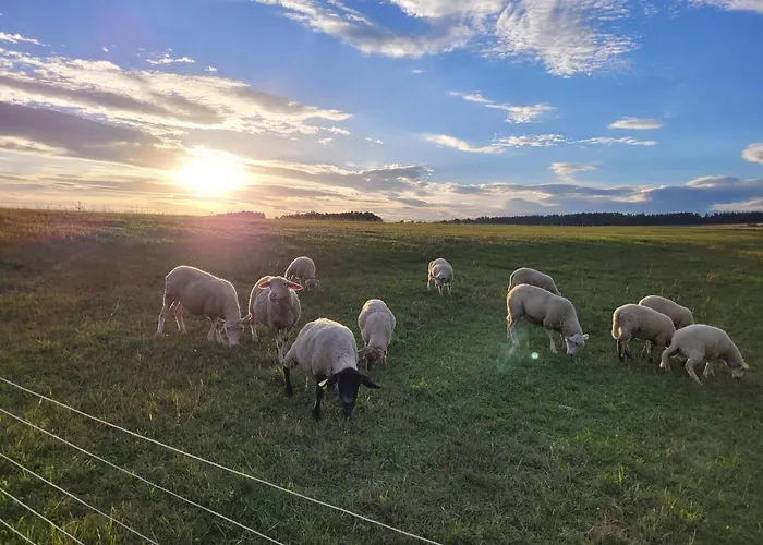 Parque de Campismo Na Břehu Rybníka Pupek Kohoutov