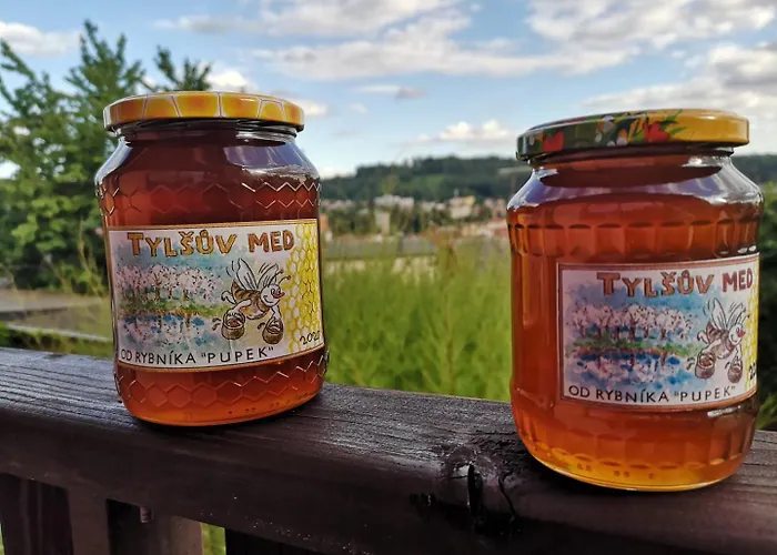 Na Břehu Rybníka Pupek Parque de Campismo Kohoutov